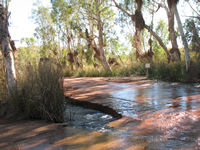 _with debris showing previous flood levels